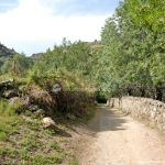 Foto Camino al Molino en Navalafuente 14