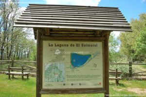 Foto Laguna de El Salmoral 1