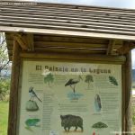 Foto Laguna de El Salmoral 2