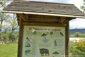 Foto Laguna de El Salmoral 2