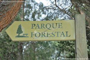 Foto Parque Forestal en Quijorna 1