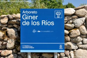 Foto Arboreto Giner de los Ríos 1