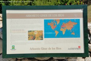 Foto Arboreto Giner de los Ríos 5