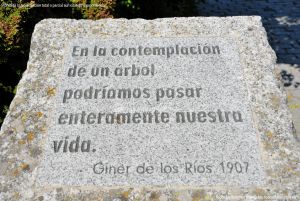 Foto Arboreto Giner de los Ríos 6