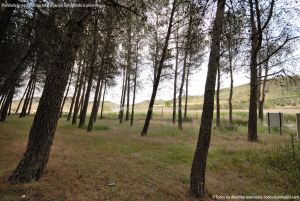 Foto Área Recreativa y Parque Forestal Dehesa de Santorcaz 12