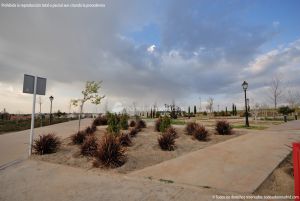 Foto Parque El Alamillo 13