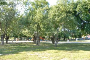 Foto Parque Municipal de Soto del Real 5