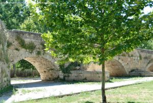 Foto Puente Romano de Talamanca de Jarama 6