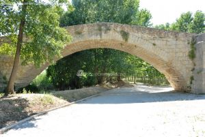 Foto Puente Romano de Talamanca de Jarama 10