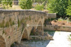 Foto Puente Romano de Talamanca de Jarama 19