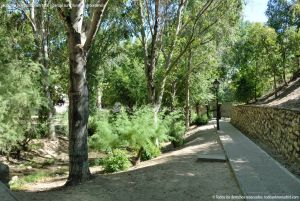 Foto Parque en Talamanca de Jarama 3