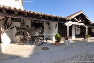 Foto Museo del Aceite La Casa Grande 17