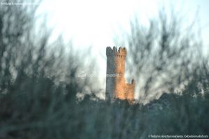 Foto Torre de Torrelodones 6