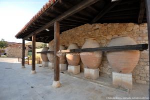 Foto Museo del Vino en Torremocha de Jarama 2