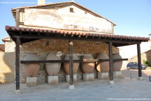 Foto Museo del Vino en Torremocha de Jarama 15