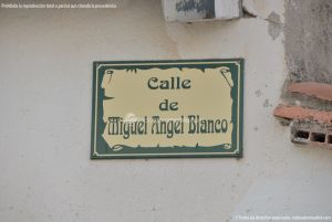 Foto Calle de Miguel Ángel Blanco 1