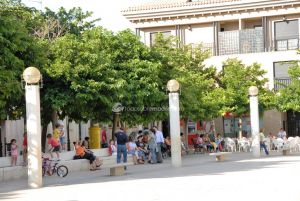 Foto Plaza de la Constitución de Velilla de San Antonio 8