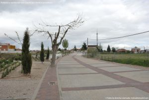 Foto Camino de la Ermita de Villamanta 4