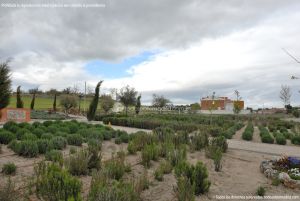 Foto Parque de la Ermita en Villamanta 1