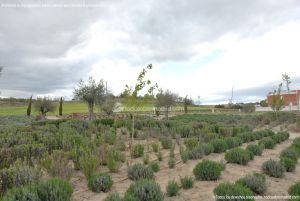 Foto Parque de la Ermita en Villamanta 3
