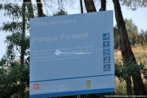 Foto Parque Forestal La Pililla 4
