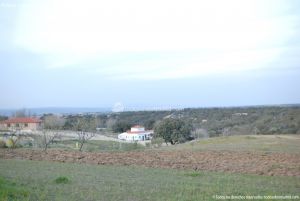 Foto Cañada Real Segoviana en Villanueva de Perales 4