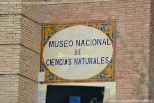 Foto Museo de Ciencias Naturales 18