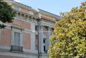 Foto Museo del Prado 81