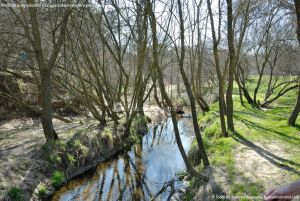 Foto Arroyo de los Palacios 13