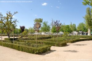 Foto Jardín de Isabel II 16