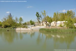 Foto Río Tajo por Aranjuez 6