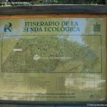 Foto Senda Ecológica en el Bosque de la Herrería 7