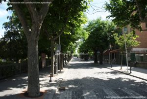 Foto Avenida de la Arboleda 3