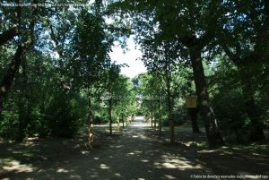 Foto Parque Casita del Príncipe 19