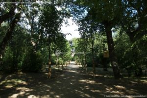 Foto Parque Casita del Príncipe 33