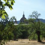 Foto Monasterio de El Escorial desde los Jardines del Príncipe 4