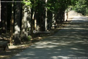 Foto Ardillas en el Parque del Príncipe 1