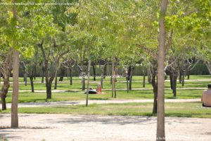Foto Parque de El Retiro 136