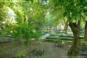 Foto Real Jardín Botánico 49