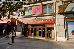 Foto Teatro Comedia La Chocita del Loro 7