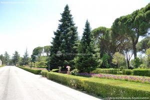 Foto Jardines del Palacio de El Pardo 8