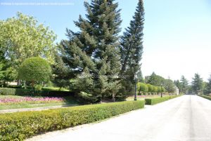Foto Jardines del Palacio de El Pardo 9