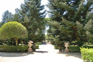 Foto Jardines del Palacio de El Pardo 16