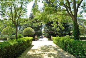 Foto Jardines del Palacio de El Pardo 19