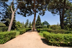 Foto Jardines del Palacio de El Pardo 40
