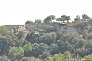 Foto Corredor Ambiental del Río Manzanares en el Monte de El Pardo 4