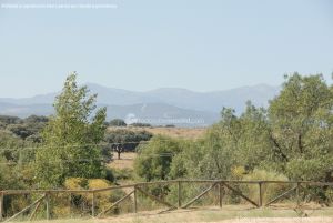 Foto Corredor Ambiental del Río Manzanares en el Monte de El Pardo 6