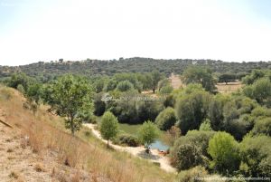 Foto Corredor Ambiental del Río Manzanares en el Monte de El Pardo 9