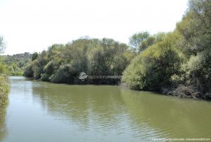 Foto Corredor Ambiental del Río Manzanares en el Monte de El Pardo 14
