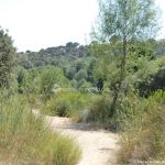 Foto Corredor Ambiental del Río Manzanares en el Monte de El Pardo 16